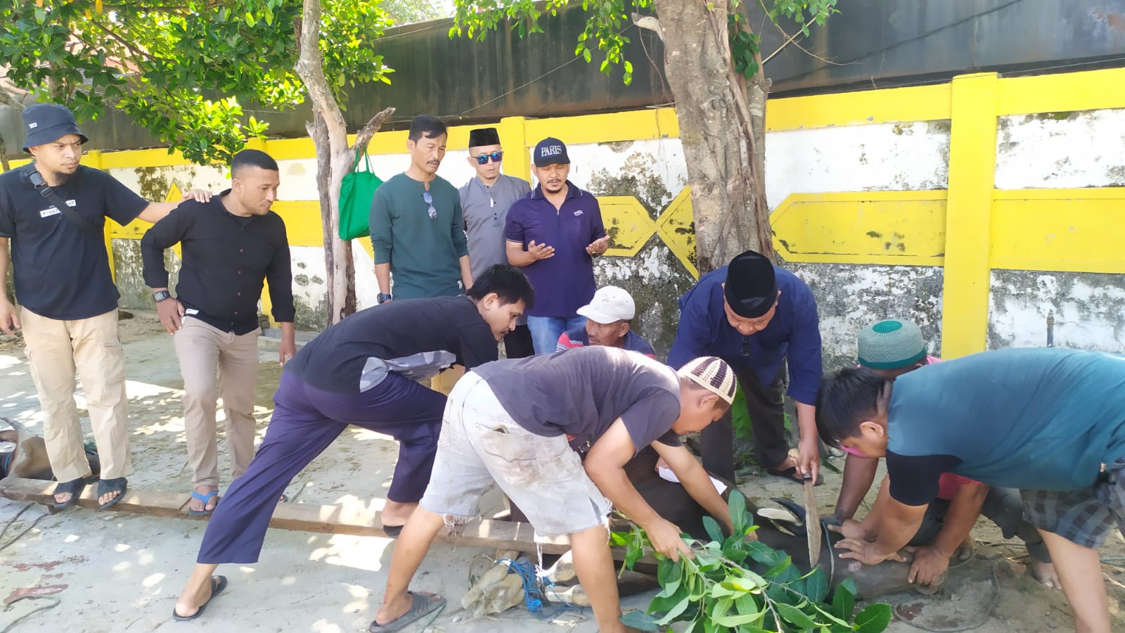 8147821c5c-08ce-4459-bff5-6fe22a67223f